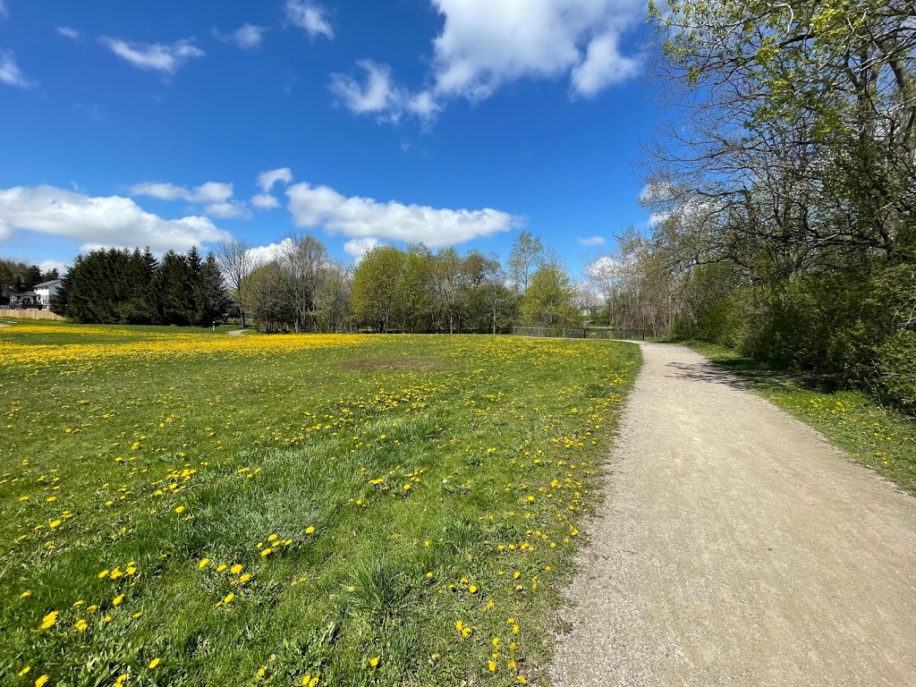 Country Hills Park | 365 Country Hill Dr, Kitchener, ON N2E 2C1, Canada | Phone: (519) 743-6331