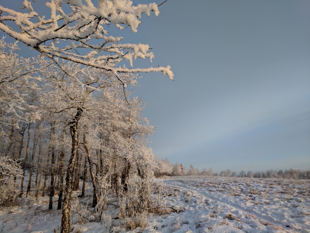 Ann & Sandy Cross Conservation Area | 20 194001 160 Street W, Foothills No. 31, AB T1S 4K9, Canada | Phone: (403) 931-1042