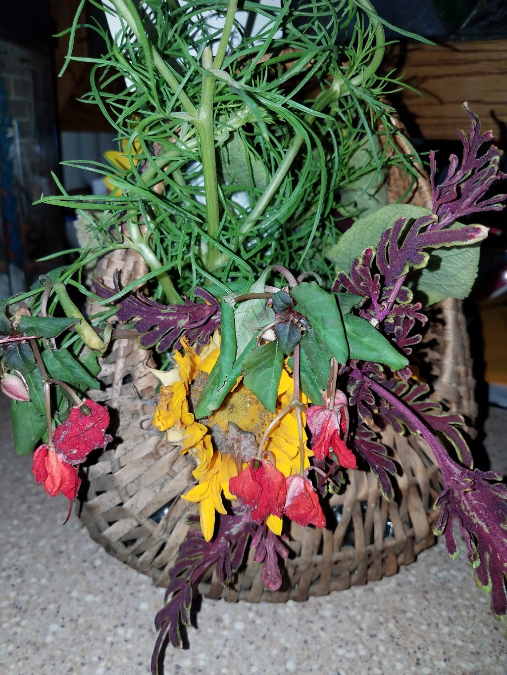 Ullenbruchs Flowers & Gifts | 1839 Lapeer Ave, Port Huron, MI 48060, USA | Phone: (810) 985-6175