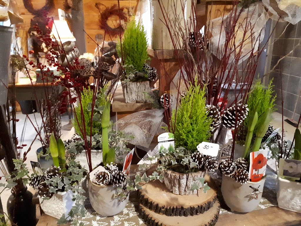 The Garden Network | 57 Maybee Rd, Frankford, ON K0K 2C0, Canada | Phone: (343) 263-5657