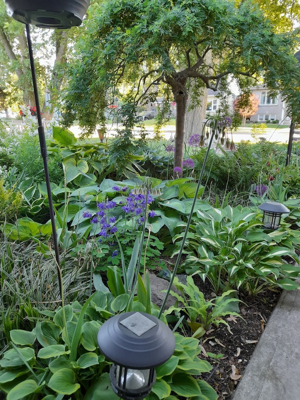 Harrys Gardening | 55 Victoria St SS1, Mitchell, ON N0K 1N0, Canada | Phone: (519) 272-9197