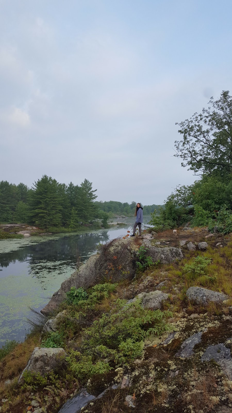 Torrance Barrens Dark-Sky Preserve | Southwood Rd, Gravenhurst, ON P0C 1M0, Canada | Phone: (800) 267-9700
