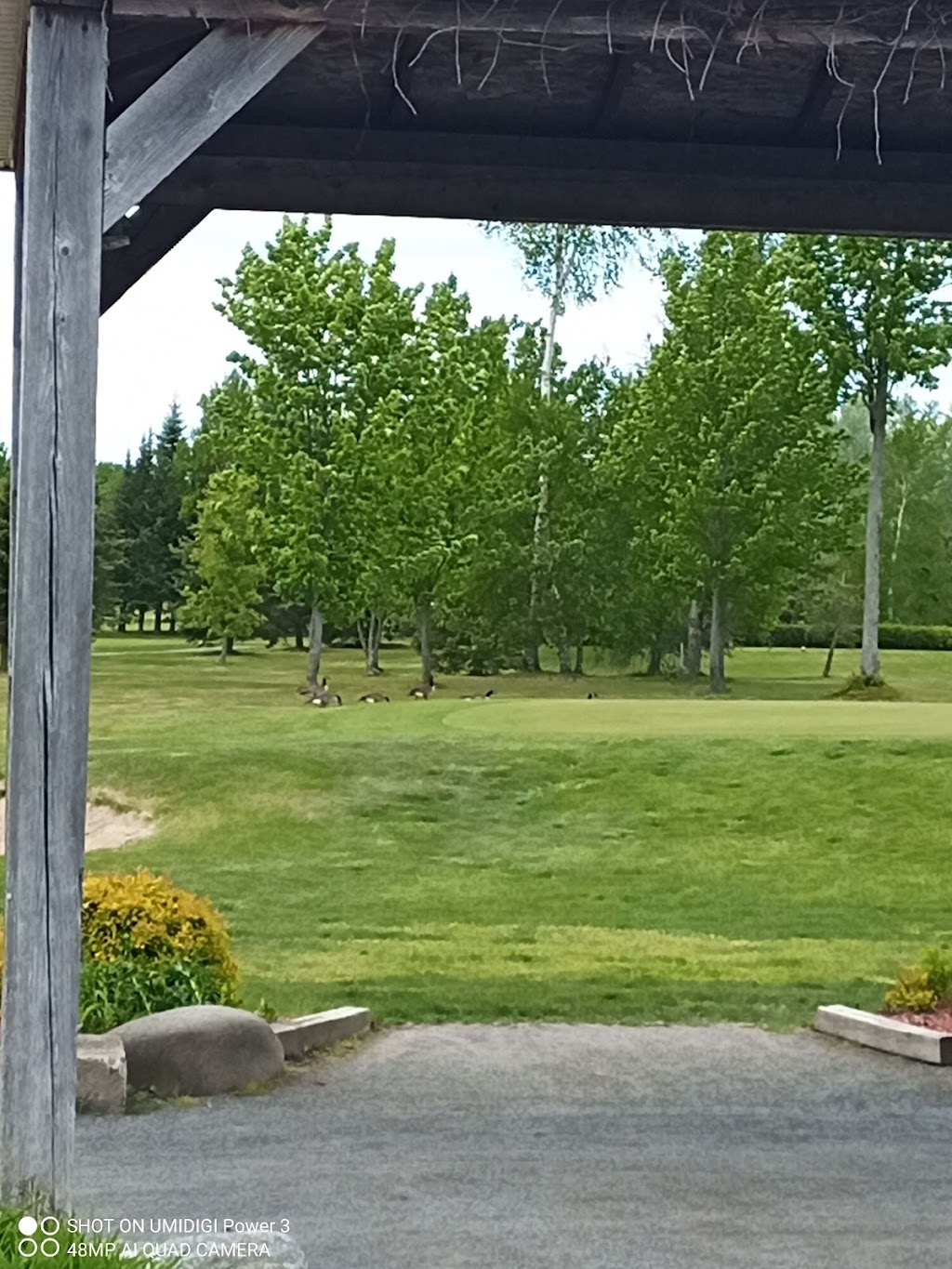 Club De Golf Des Bois-Francs Inc | 25 Rue du Lac N, Princeville, QC G6L 3X8, Canada | Phone: (819) 364-7117