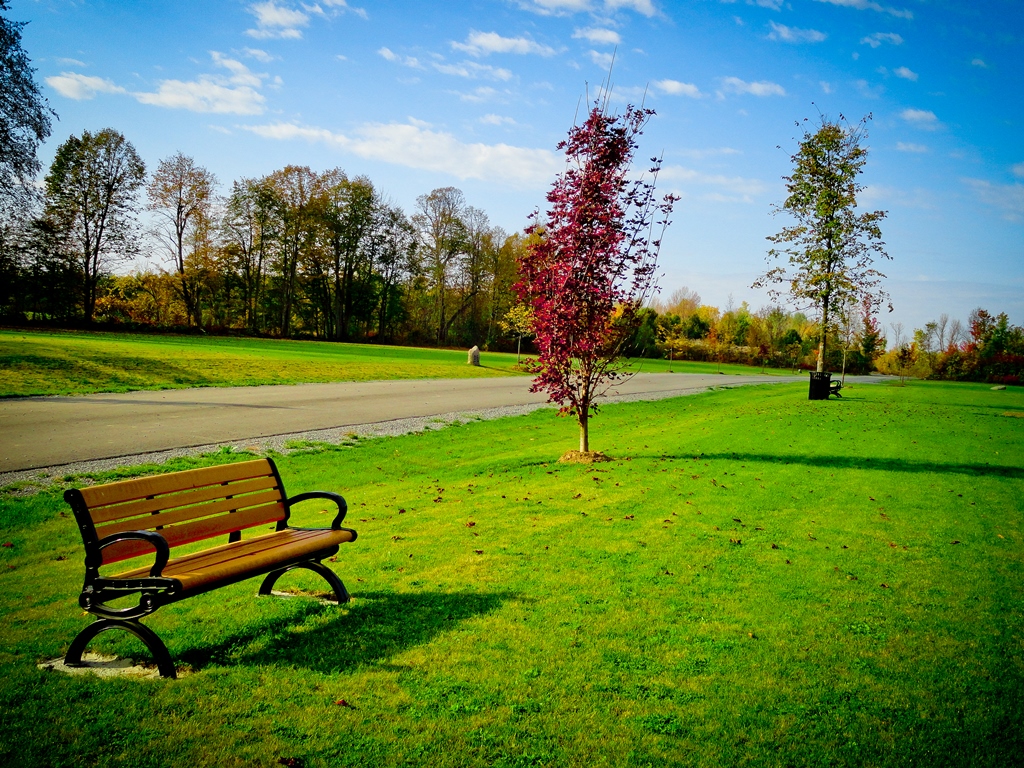 Ottawa Muslim Cemetery Inc | 1668 Manotick Station Rd, Greely, ON K4P 1M9, Canada | Phone: (613) 851-7444