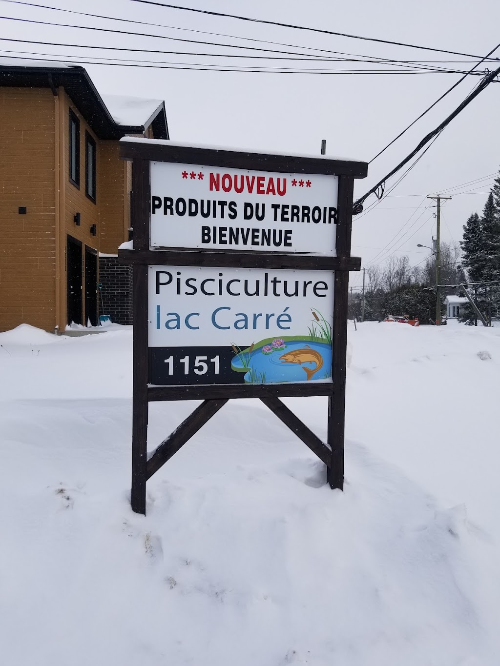 Pisciculture Lac Carre Inc | 1151 Rue Principale, Saint-Faustin--Lac-Carré, QC J0T 1J3, Canada | Phone: (819) 688-2030
