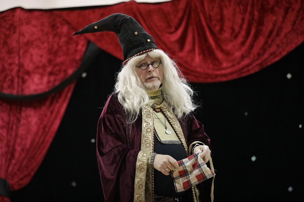 Merlin the Magician | 7371 Parkwood Dr, Surrey, BC V3W 7G1, Canada | Phone: (236) 994-0797