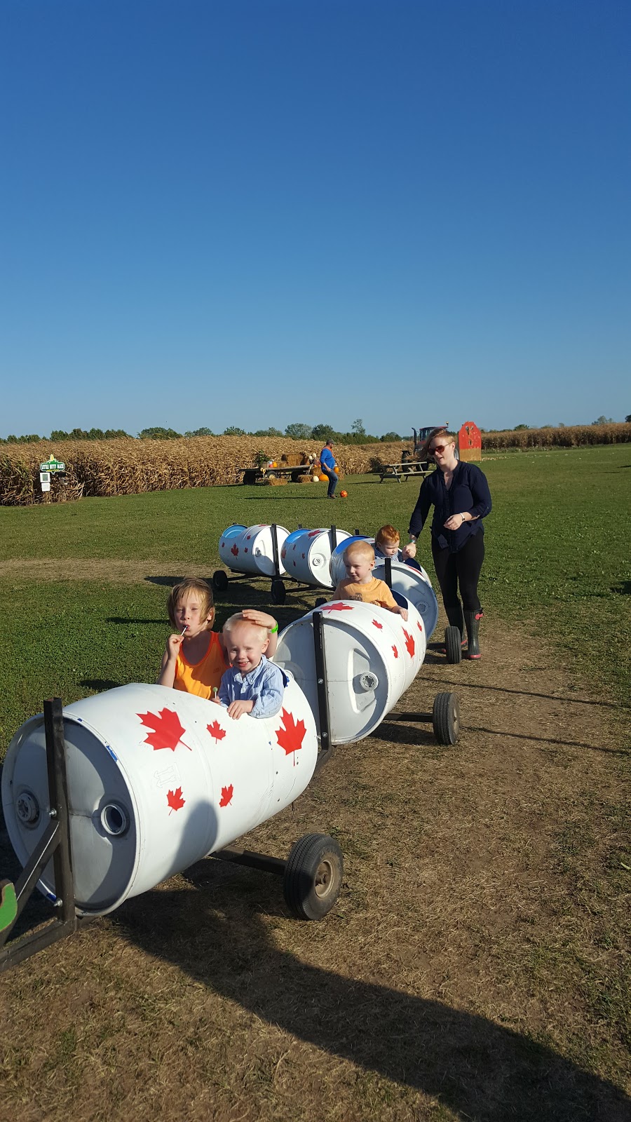 Thamesville Maize | 12768 Longwoods Rd, Thamesville, ON N0P 2K0, Canada | Phone: (519) 692-5451