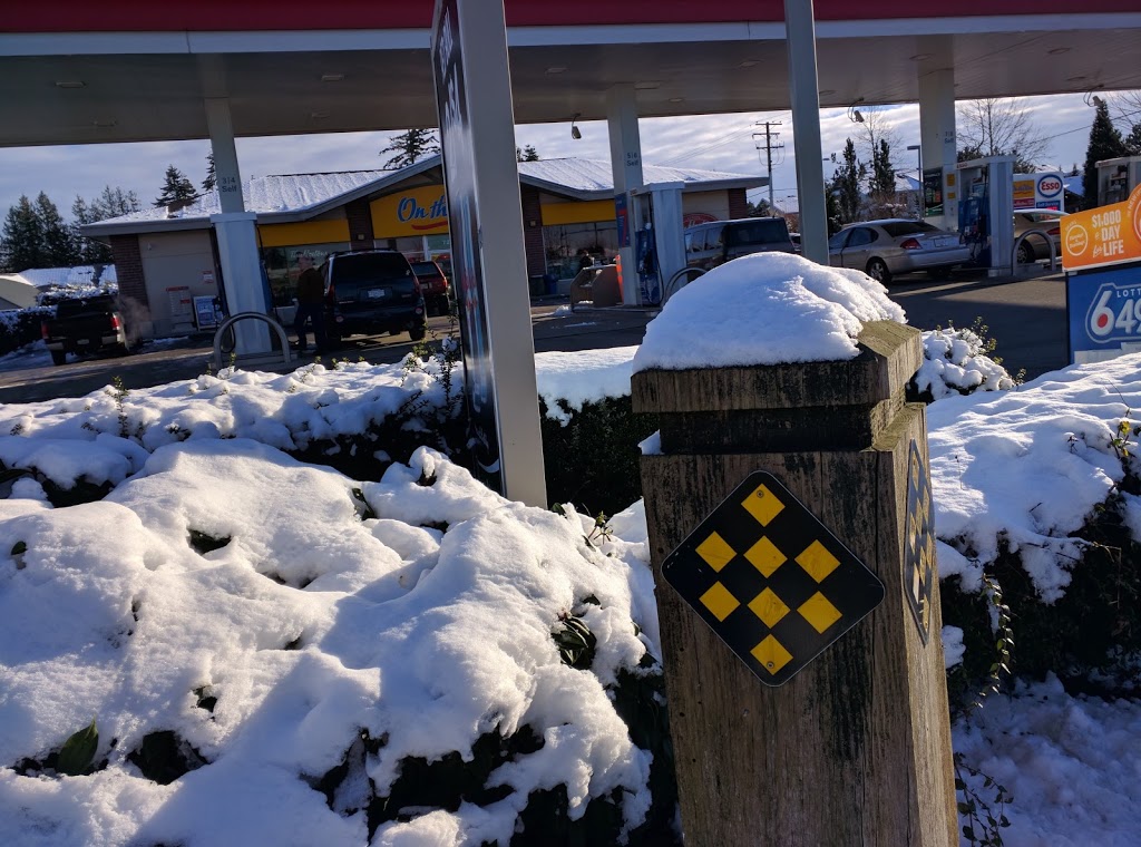 Petro-Canada | 19971 72 Ave, Langley City, BC V2Y 3J2, Canada | Phone: (604) 532-8941