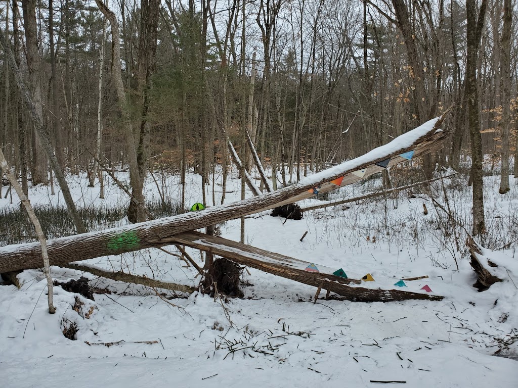 Sidney Conservation Area | 379 Airport Rd, Stirling, ON K0K 3E0, Canada | Phone: (613) 968-3434