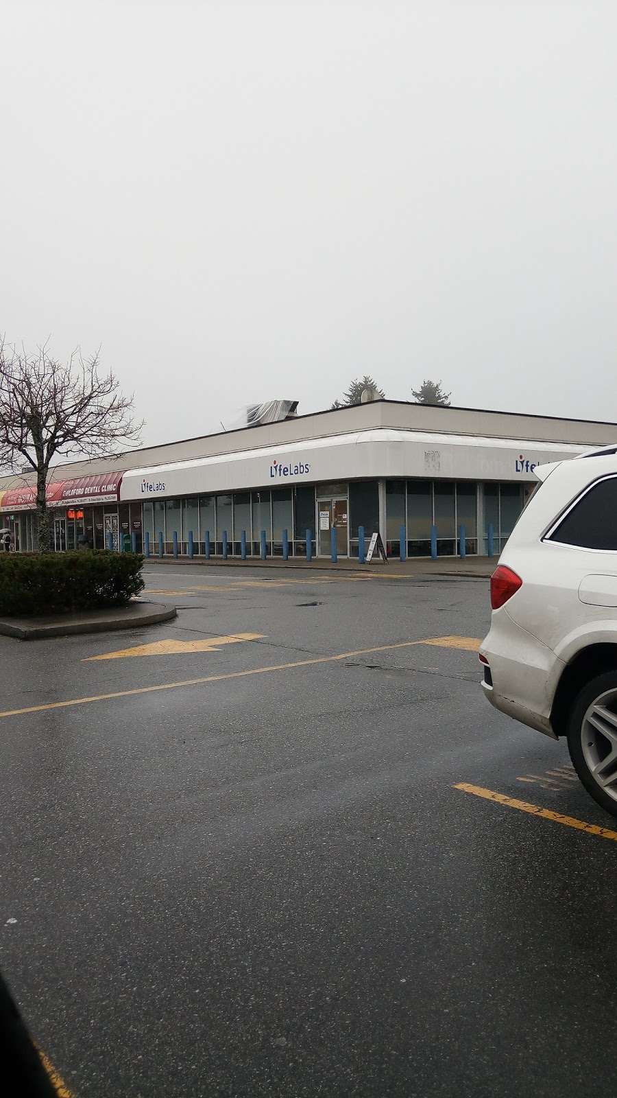 LifeLabs Medical Laboratory Services | 9014 152 St #204, Surrey, BC V3R 4E5, Canada | Phone: (800) 431-7206
