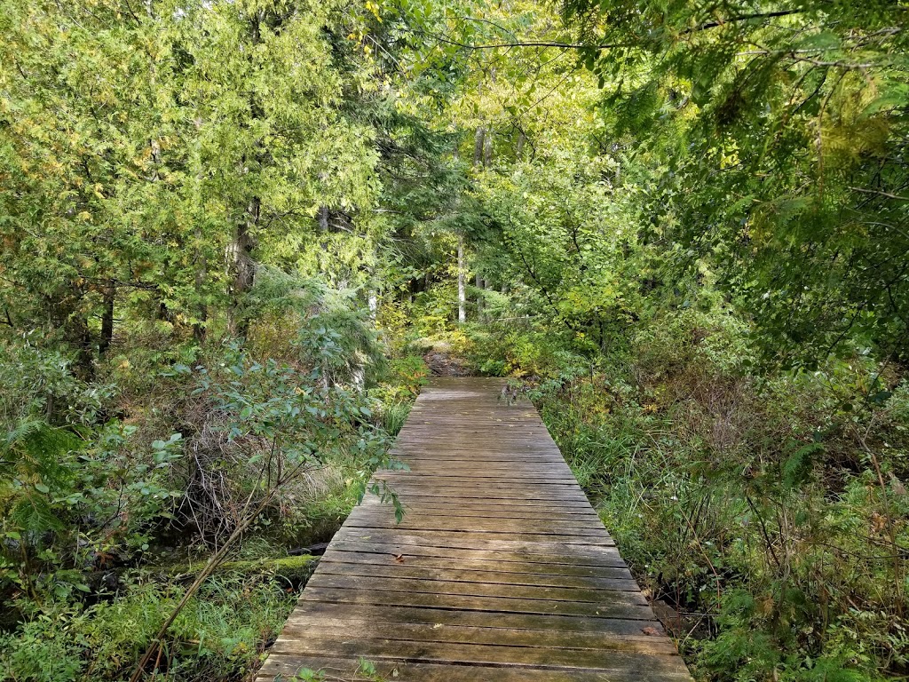 Morris Island Conservation Area | 156 Morris Island Dr, Fitzroy Harbour, ON K0A 1X0, Canada | Phone: (613) 253-0006