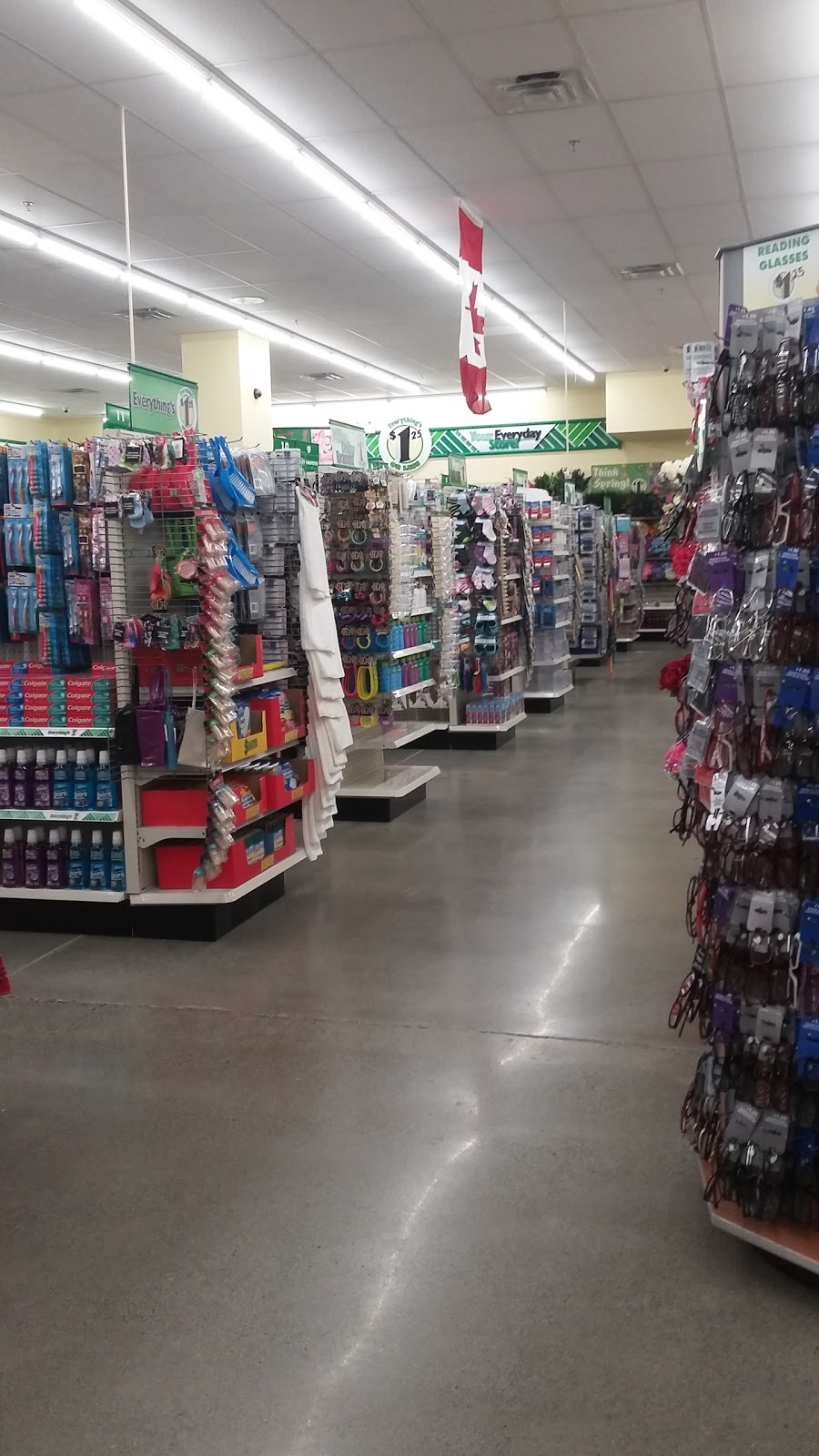 Dollar Tree | 21 Helmcken Rd #110, Victoria, BC V8Z 5G5, Canada | Phone: (250) 658-9930