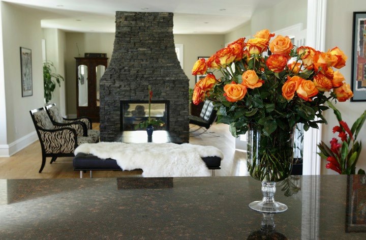 Lisa Drader-Murphy Studio & Estate | 1901 Evangeline Trail, Falmouth, NS B0P 1L0, Canada | Phone: (902) 790-1937