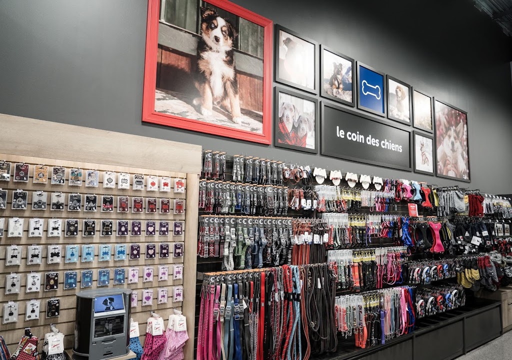 Mondou | 584 Chem. de Touraine Suite 200, Boucherville, QC J4B 8S5, Canada | Phone: (450) 655-4486