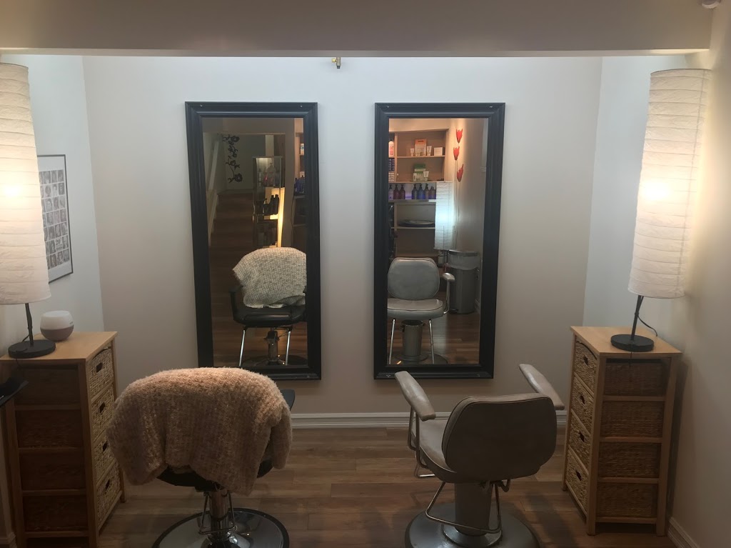 Kaleidoscope Hair Company | 1684 33B St NW, Edmonton, AB T6T 0P2, Canada | Phone: (780) 916-8176