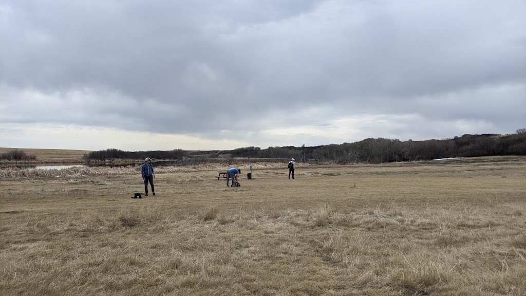 Murray Disc Golf Course | SK-365, Watrous, SK S0K 4T0, Canada | Phone: (306) 946-7788