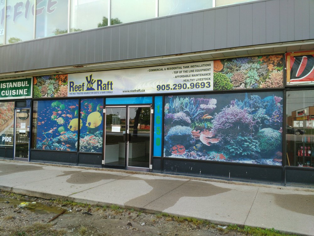 Reef Raft | 1650 Dundas St E, Mississauga, ON L4X 2Z3, Canada | Phone: (647) 545-8597