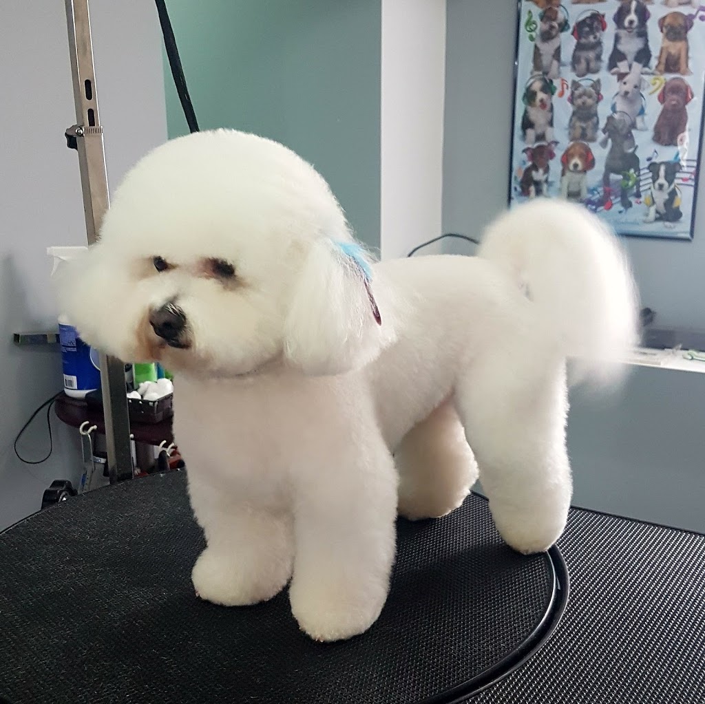 Fancy Feet Pet Styling by Sara | 7-24493 St Clair Rd, Chatham, ON N7M 5J2, Canada | Phone: (519) 401-4960