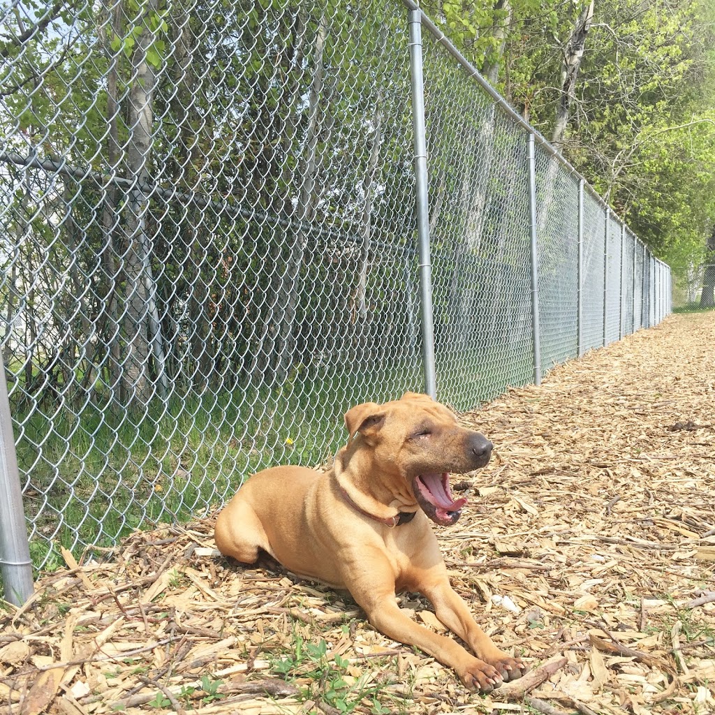 Sticks n Bones Dog Daycare, Boarding and Training | 2543 Innisfil Beach Rd, Innisfil, ON L9S 4C1, Canada | Phone: (705) 436-4545