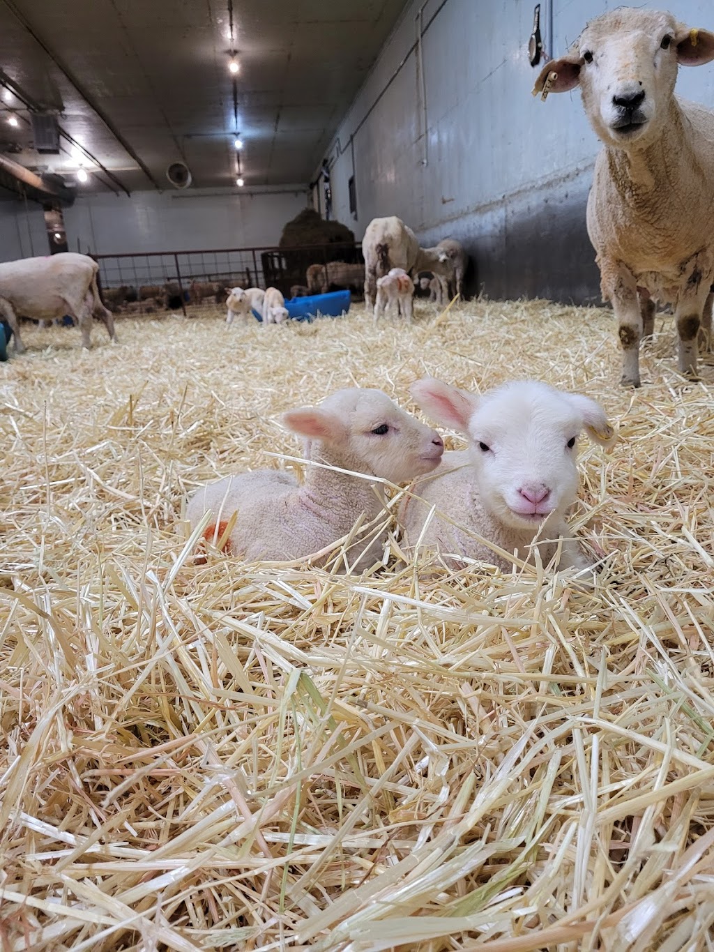 Wintering Hills | 1, Wheatland County, AB T0J 0X0, Canada | Phone: (403) 787-2260