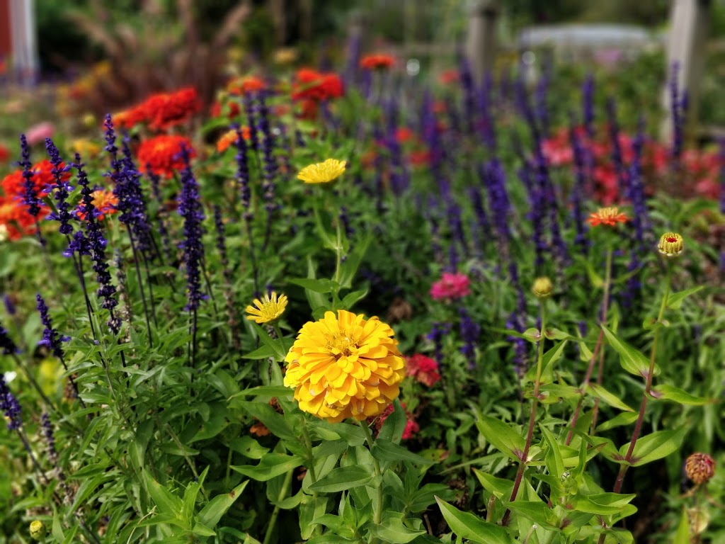 Terra Nova Rural Park Farm Center | 2631 Westminster Hwy, Richmond, BC V7C 1A1, Canada