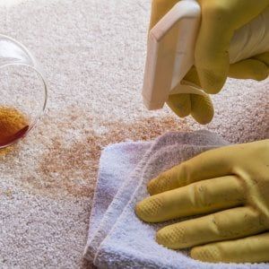 Lunas Area Rugs Cleaning | 25 Bristol Ave, Brampton, ON L6X 2B1, Canada | Phone: (647) 556-0234