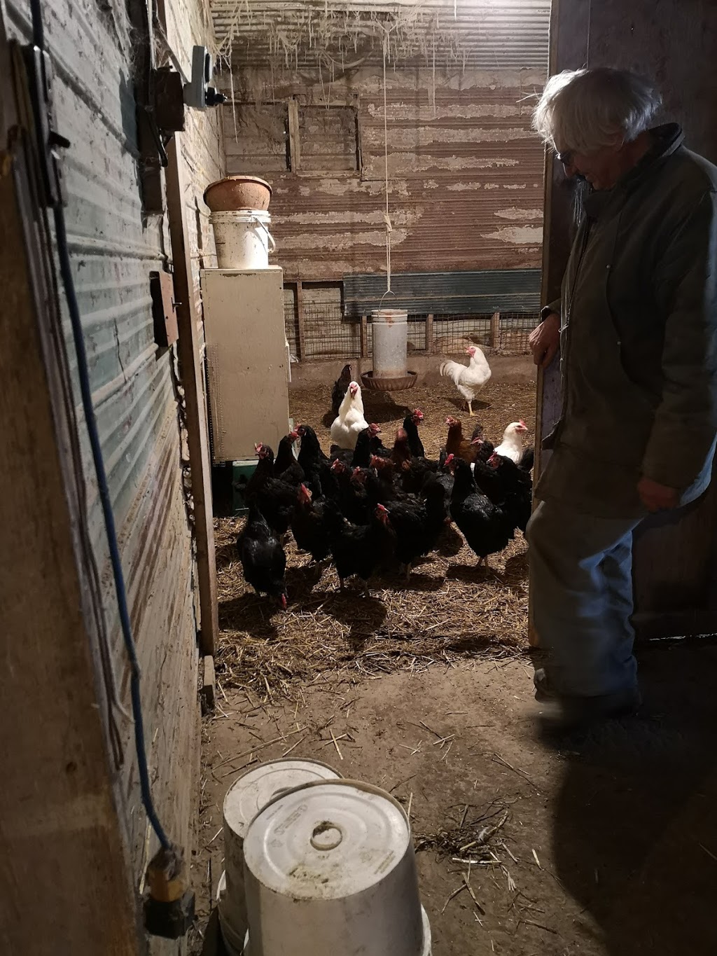 Saunders Organics Farm | Middlesex Centre, ON N0M, Canada | Phone: (519) 666-0705