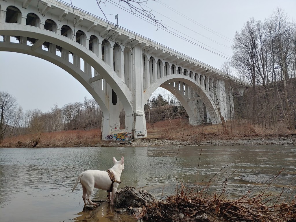Hobuck Flats | Derby, NY 14047, USA