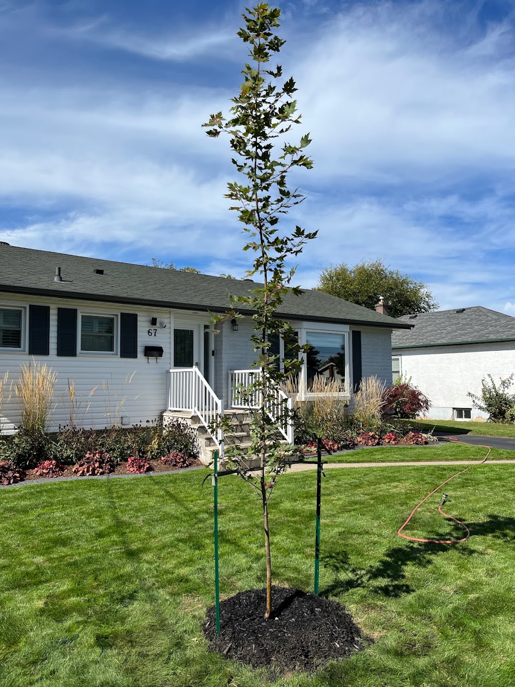 Niagara Tree Company | 4478 Lincoln Ave, Beamsville, ON L0R 1B3, Canada | Phone: (905) 401-9526