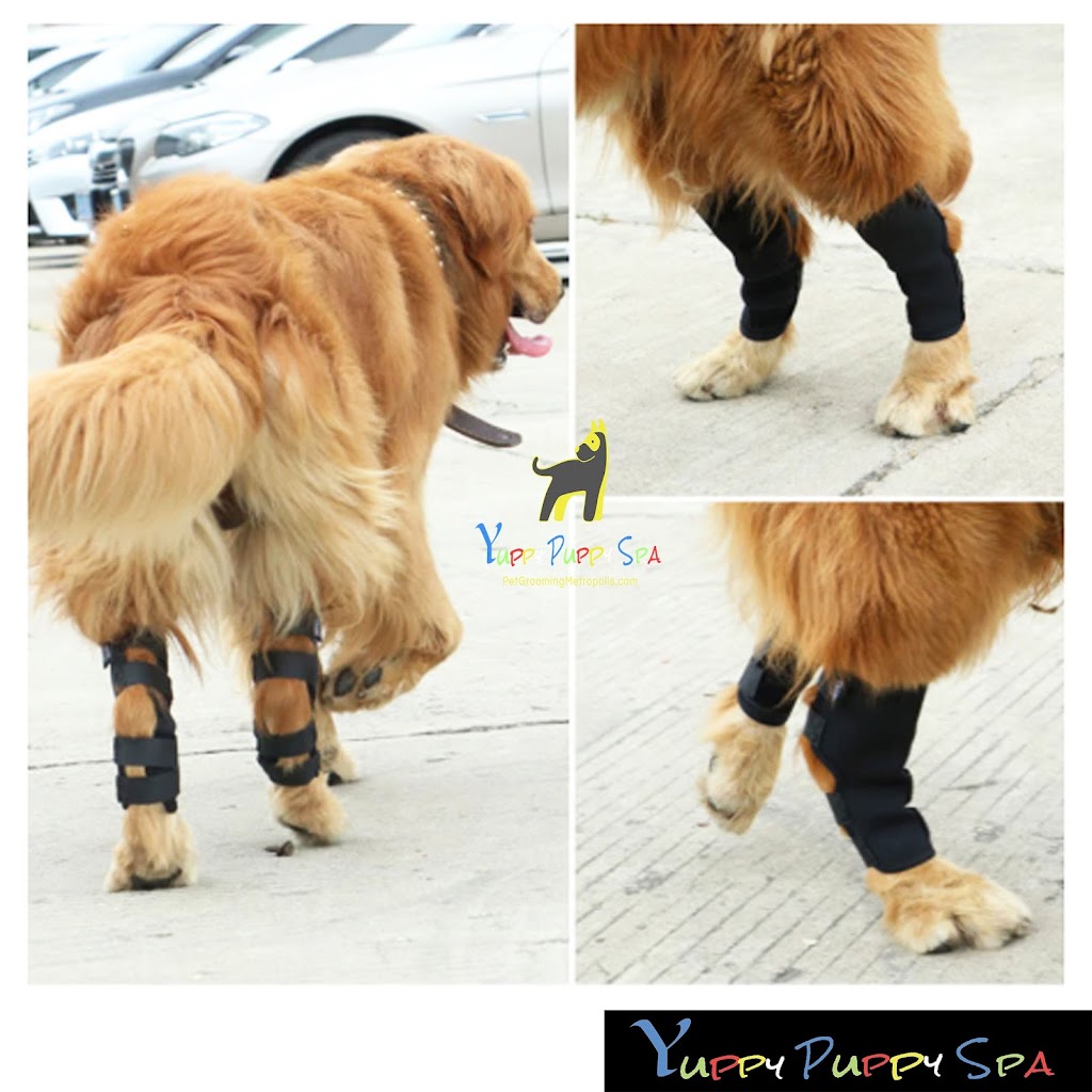 Yuppy Puppy Spa | 78 Barnstone Dr, Markham, ON L6E 0L9, Canada | Phone: (647) 886-6312