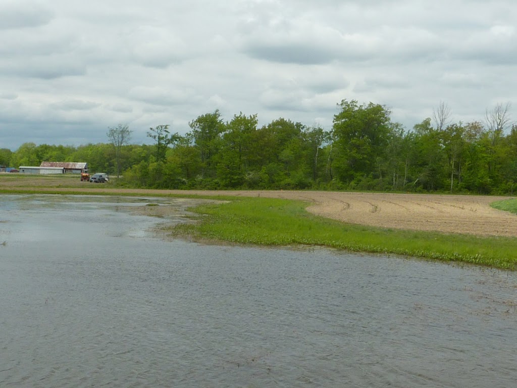 Haldimand Stewardship Council Inc. | 15 Cayuga St N, Cayuga, ON N0A 1E0, Canada | Phone: (905) 772-1393