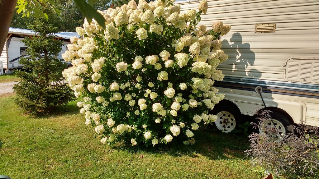 Camping Lac Trouser Lake Camping Inc. | 500 Route Missisquoi, Bolton-Est, QC J0E 1G0, Canada | Phone: (450) 297-2310