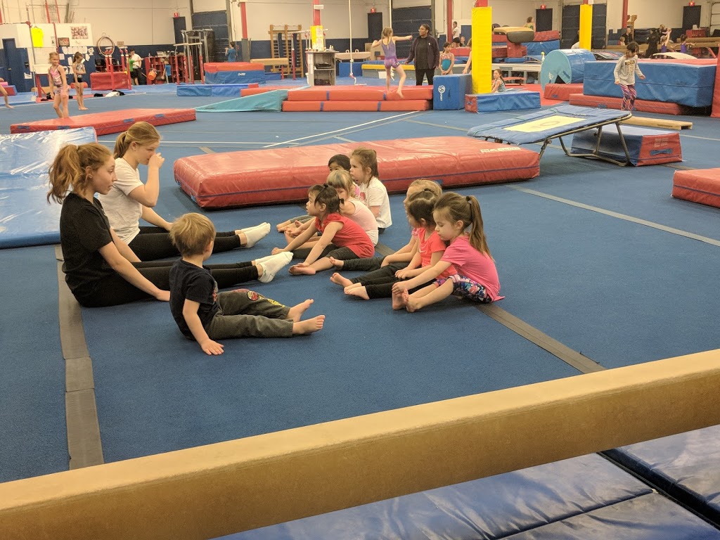 Toronto Gymnastics International | 77 Browns Line Road Units B&C, Etobicoke, ON M8W 3S2, Canada | Phone: (416) 253-1443