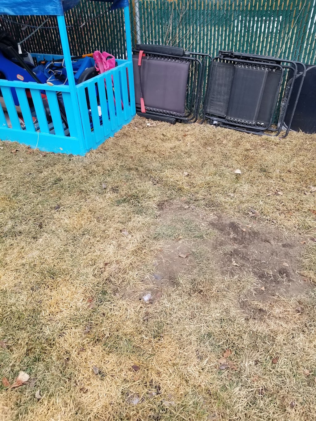 Scrappy doo doggie poo removal | 2320 Baywater Cres, Airdrie, AB T4B 0T4, Canada | Phone: (403) 478-9333