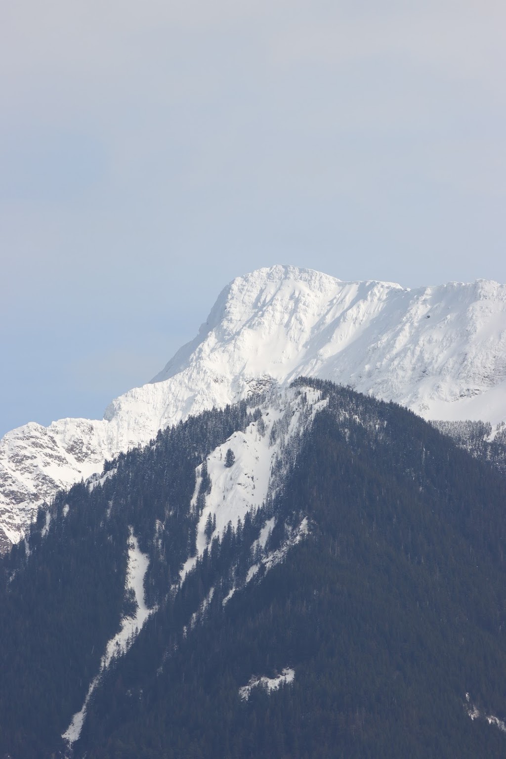 Corners Pride Farms Ltd | 10484 McGrath Rd, Rosedale, BC V0X 1X0, Canada | Phone: (604) 794-7735
