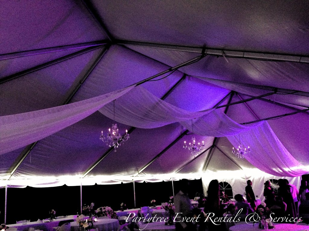 PartyTree Events | 44335 Yale Rd, Chilliwack, BC V2R 4H2, Canada | Phone: (604) 506-6038
