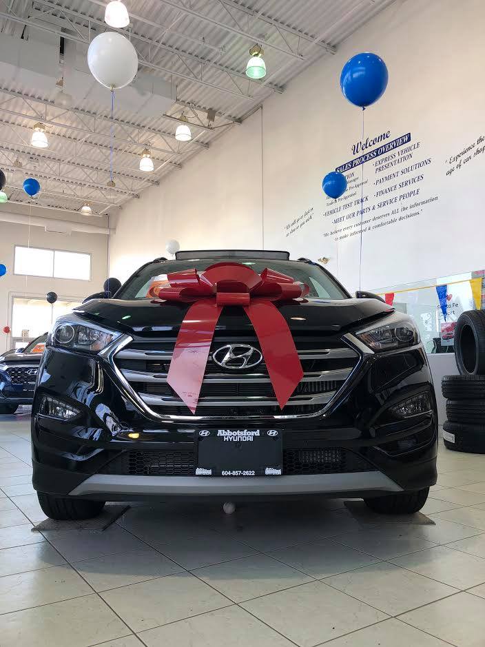 Car King Abby | 30250 Automall Dr, Abbotsford, BC V2T 5M1, Canada | Phone: (604) 302-4879
