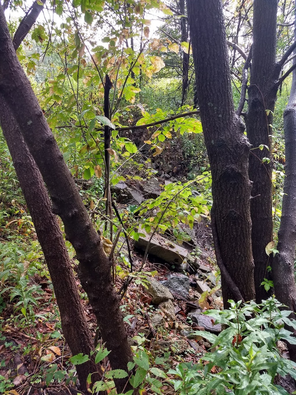 China Township Belle River Access Park | Belle River Rd, China Township, MI 48054, USA