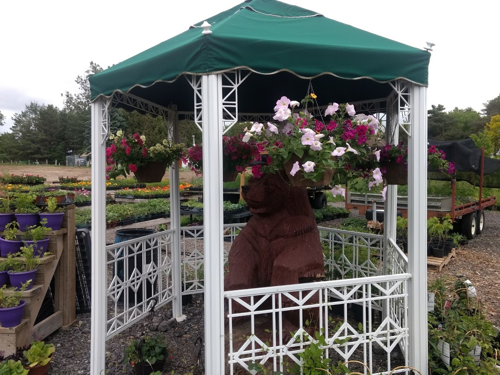 Niemi Family Farm | 18463 ON-48, Mount Albert, ON L0G 1M0, Canada | Phone: (289) 716-4586