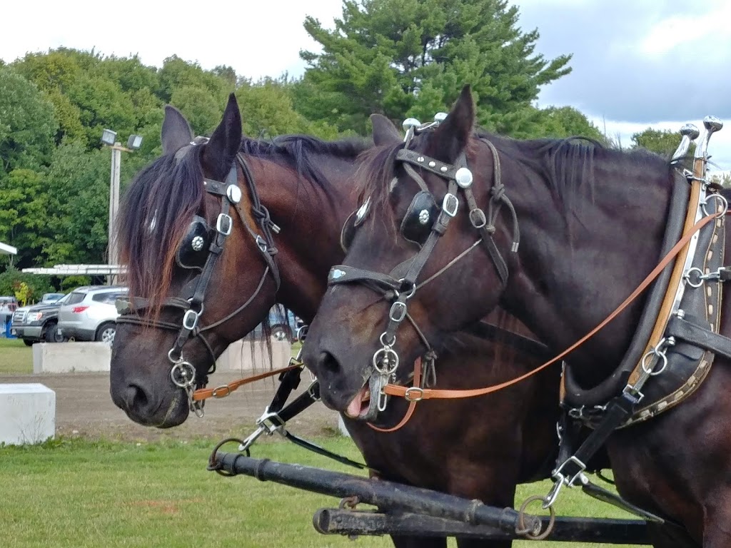 Riceville Agricultural Society | 4029 County Rd 16, Fournier, ON K0B 1G0, Canada | Phone: (613) 673-5064