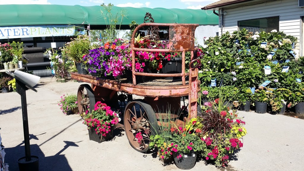 Lakeside Garden Gallery | 10753 Heart Lake Rd, Brampton, ON L6Z 0B7, Canada | Phone: (905) 846-3773