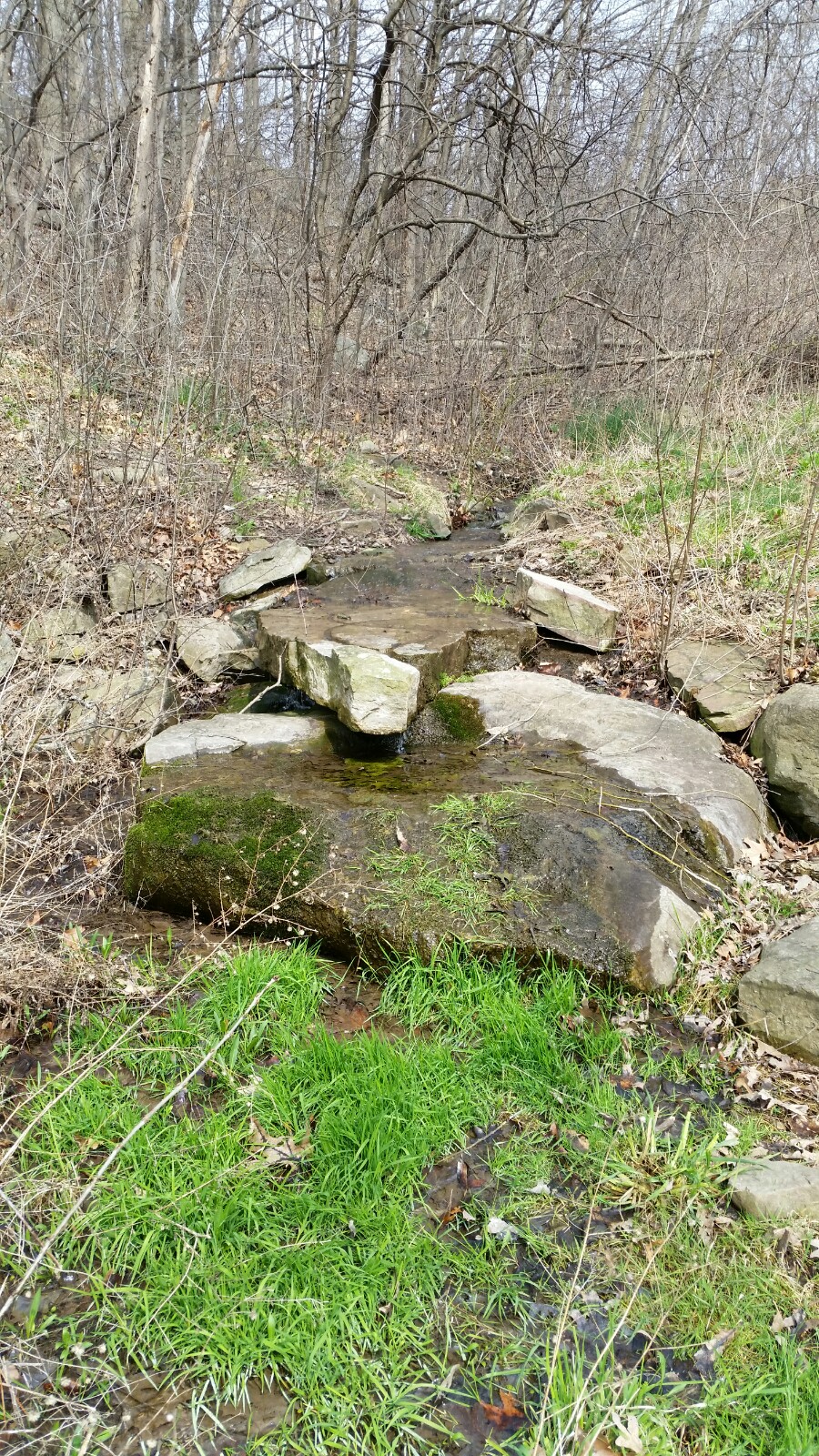 Earl W. Brydges Artpark State Park | 450 S 4th St, Lewiston, NY 14092, USA | Phone: (716) 754-7766
