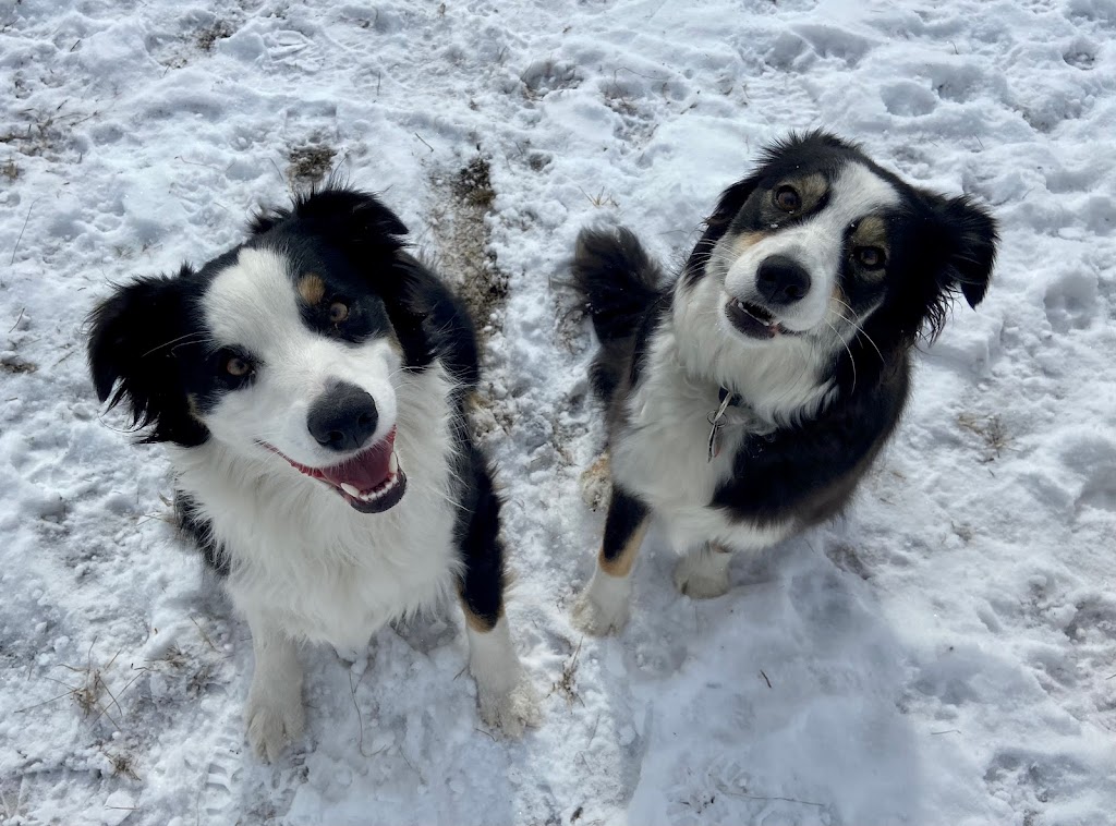 MyWalkies | 17 Dunbow Rd W, De Winton, AB T0L 0X0, Canada | Phone: (403) 921-4415