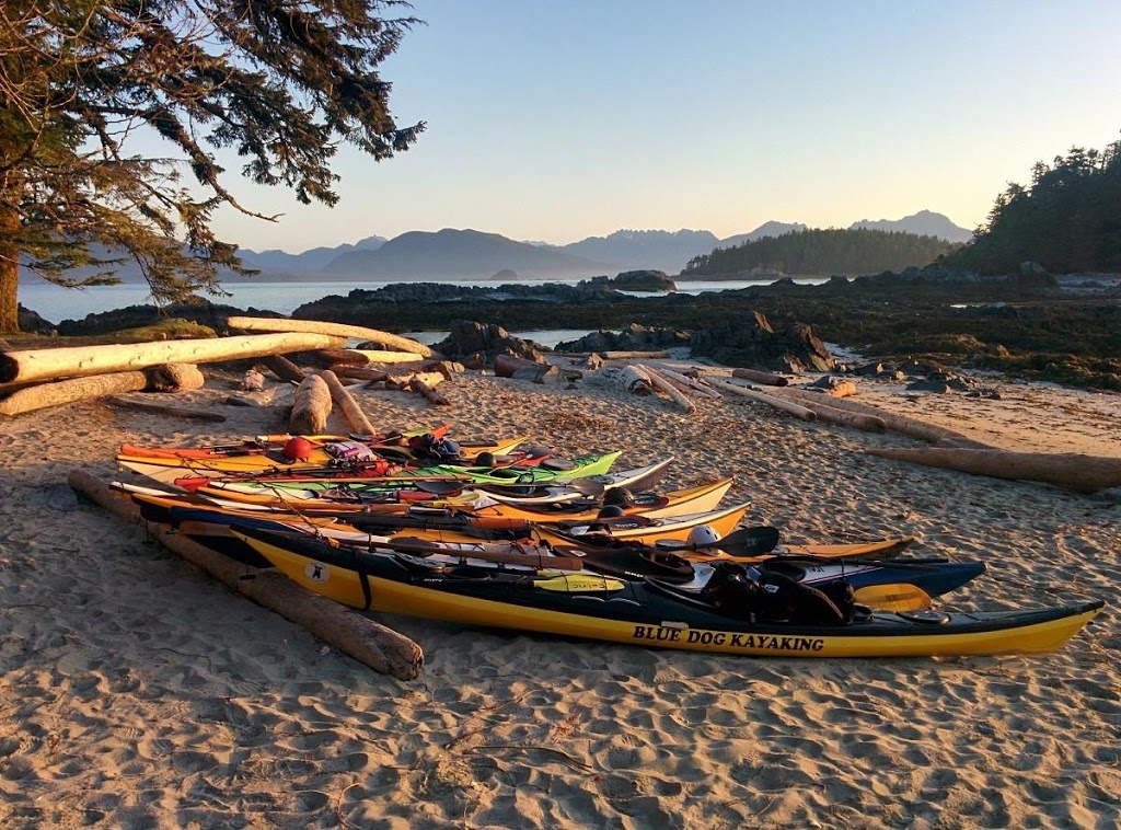 Blue Dog Kayaking | 9835 Seaport Pl, Sidney, BC V8L 4X3, Canada | Phone: (250) 710-7693