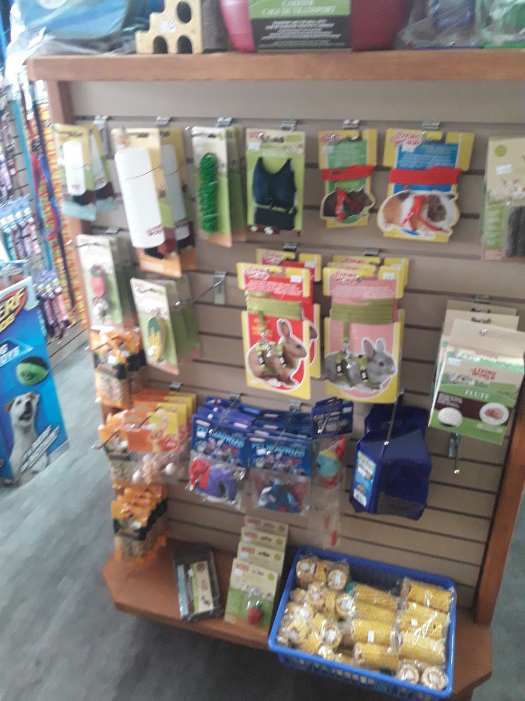 Animalerie St-Lazare | 2001 Chemin Ste Angélique, Saint-Lazare, QC J7T 2Y7, Canada | Phone: (450) 218-2248