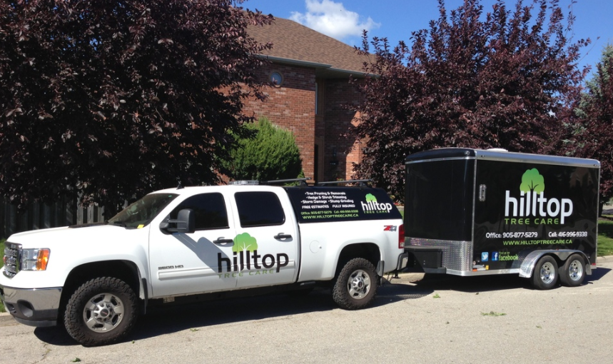 Hilltop Tree Care | 112 Guelph St, Georgetown, ON L7G 4T1, Canada | Phone: (905) 877-5279