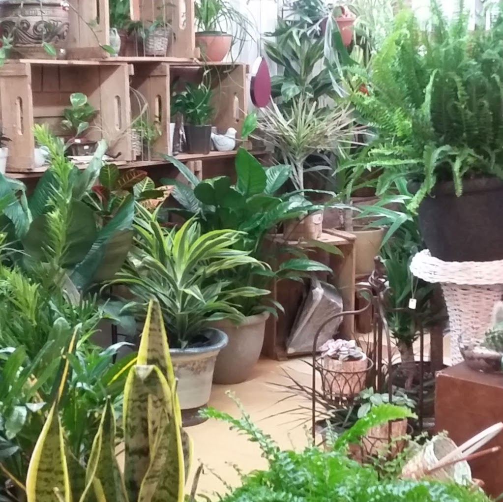 fleuriste weedon | 115 Rue Principale O, Cookshire-Eaton, QC J0B 1M0, Canada | Phone: (819) 875-3600