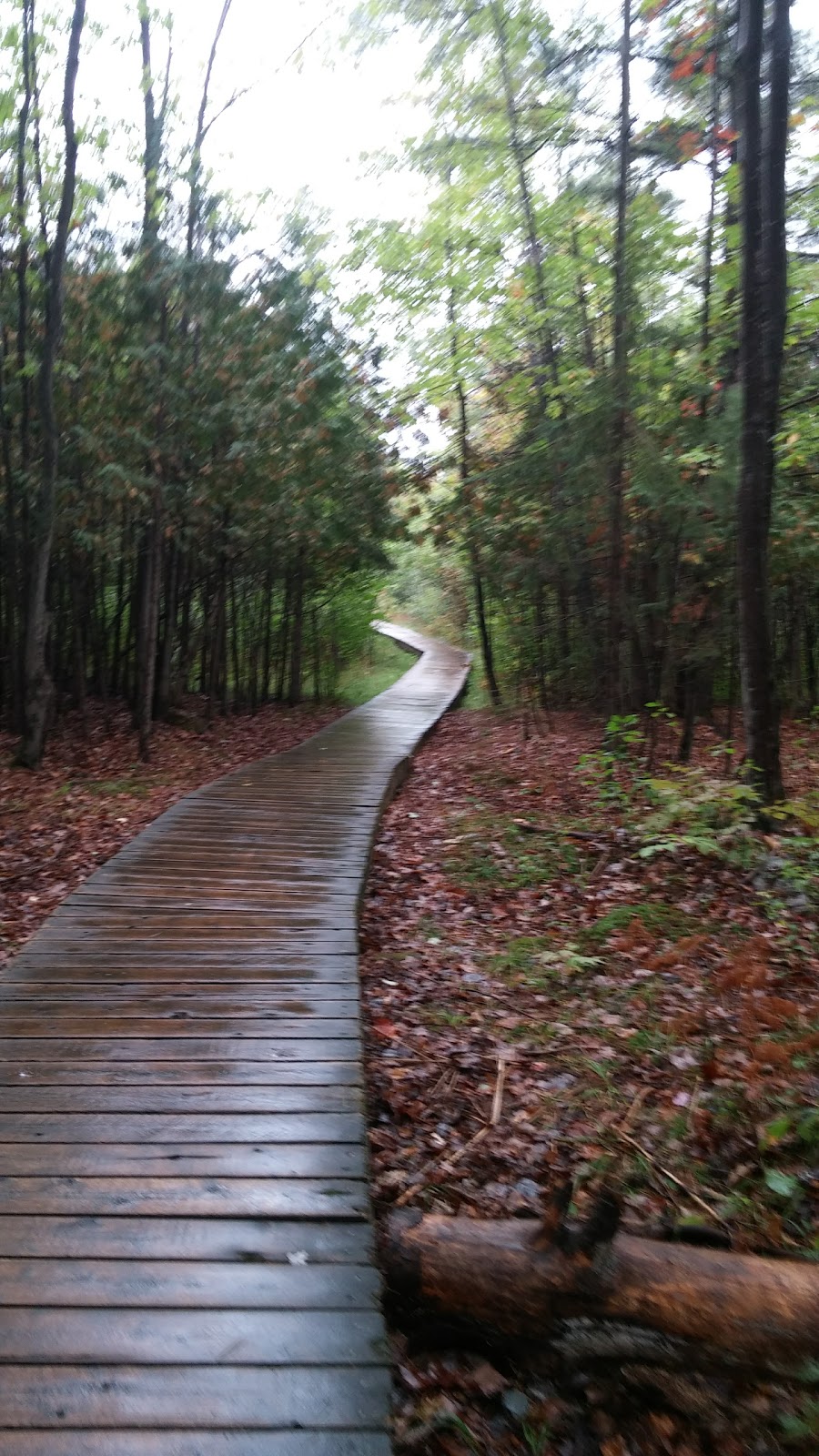 Stony Swamp | 4897 Old Richmond Rd, Nepean, ON K2R 1G8, Canada