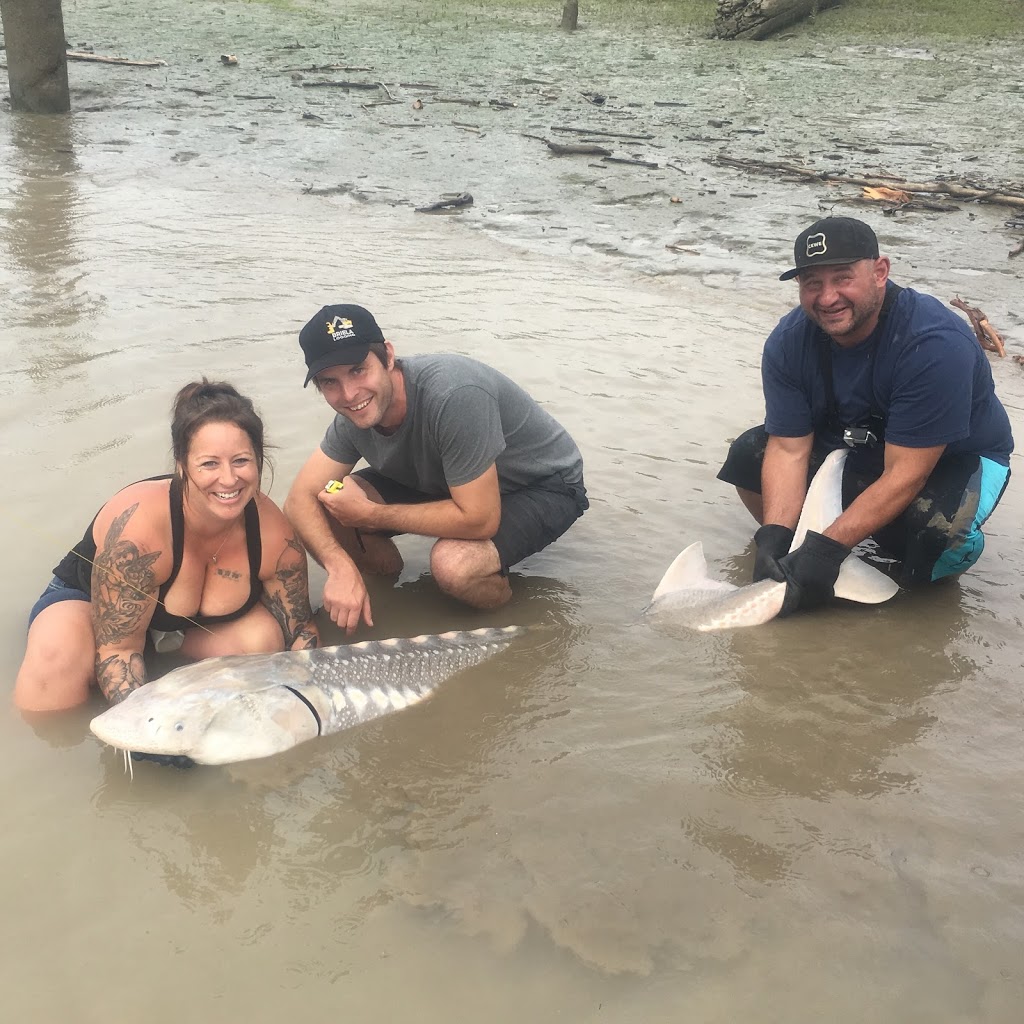 Fraser River Fishermen | 9191 Bentley St, Vancouver, BC V6P 6G2, Canada | Phone: (250) 640-9251