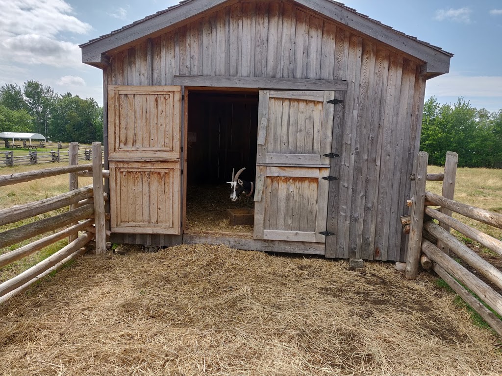 MacDonald Farm Provincial Heritage Place | 600 NB-11, Lower Newcastle, NB E1V 7G1, Canada | Phone: (506) 778-6085
